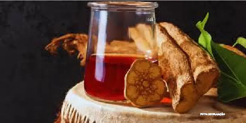 A História da Ayahuasca e sua Relação com a Física Quântica