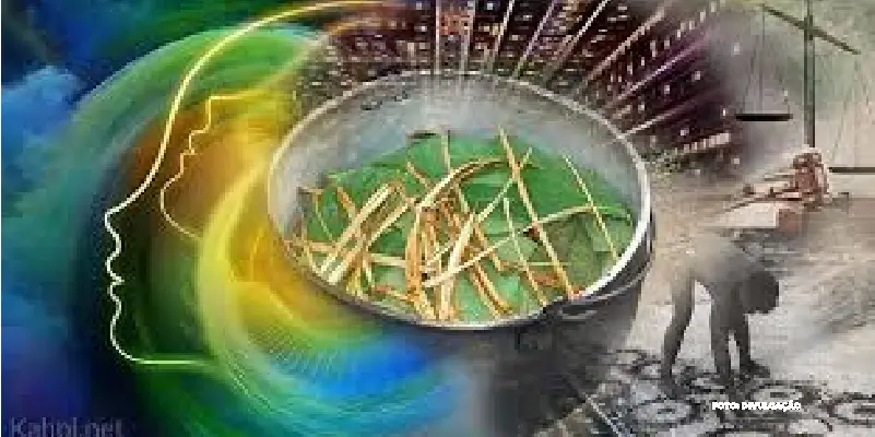 As experiências pessoais com a Ayahuasca são únicas e profundas