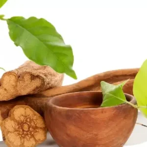 Ayahuasca e a física quântica