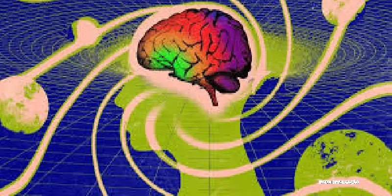 Como a Ayahuasca Influencia a Percepção da Realidade